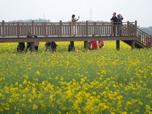 我国粮食产量连续6年超1.3万亿斤 “十三五”时期5575万农村贫困人口脱贫