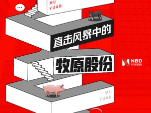 直击风暴中的牧原股份丨“数据打架”？“员工任职关联方”？我们拿到了高管独家回应