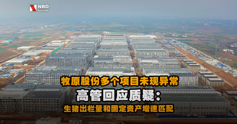 牧原股份多个项目未现异常 高管回应质疑：生猪出栏量和固定资产增速匹配