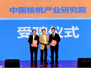 养元新品六个核桃“2430”重磅发布 推进核桃产业品质升级