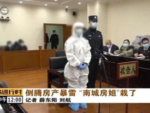 “南城房姐”，无期徒刑！二手房就有上百处，诈骗涉案金额近2亿