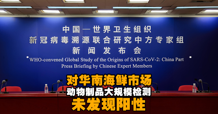 视频丨联合研究中方专家组：对华南海鲜市场的动物制品大规模检测未发现阳性