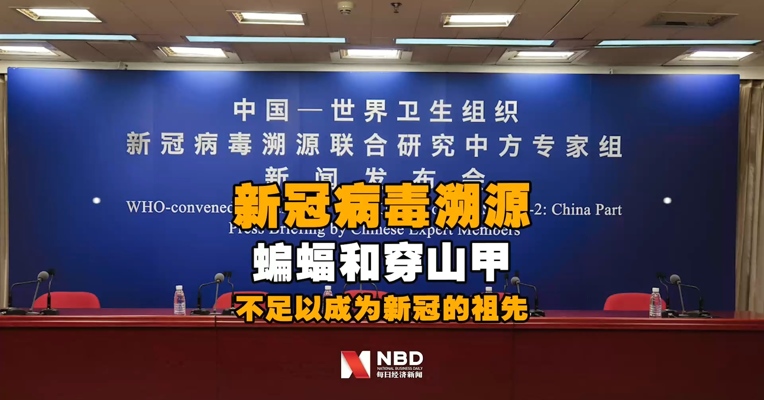 专家组：蝙蝠和穿山甲相似度不足以使其成为新冠病毒的直接祖先