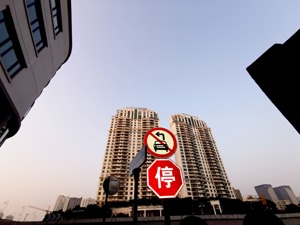 万科：寻路的一年