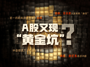 A股又现“黄金坑”？景林、淡水泉火速筹集“弹药”，高毅调研最“勤”！林园、张忆东仍看多！