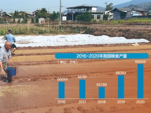 国家粮食和物资储备局答每经问：将完善稻谷和小麦最低收购价政策