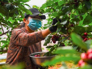 中国全面消除绝对贫困 提前10年实现《联合国2030年可持续发展议程》减贫目标