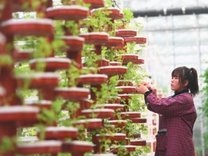 国家乡村振兴局：已易地扶贫搬迁960多万人 要确保有劳动力的搬迁家庭都有人实现就业