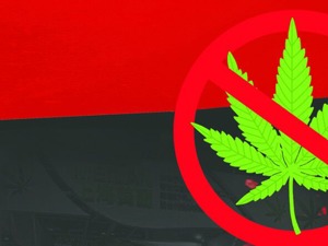 大麻化妆品监管风暴来袭
