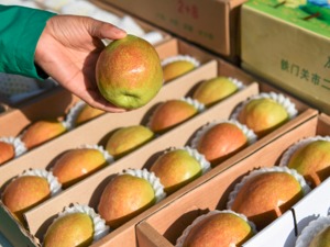 商务部：食用农产品价格稳步回落 生产资料价格小幅回升