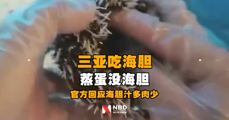 三亚吃海胆蒸蛋没海胆还遭威胁？官方：未发现海鲜掉包, 当季本地海胆汁多肉少