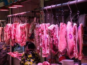 猪肉暴利终结！三家养猪大户业绩“炸雷”，最“惨”的利润跌了90%