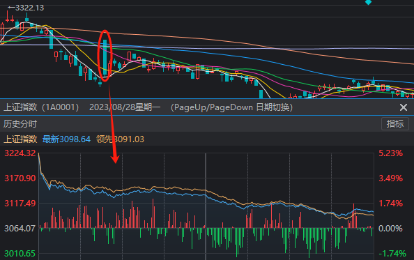 A股成交额不足5000亿，沪指创阶段新低！“828”一年来，到底谁在涨？