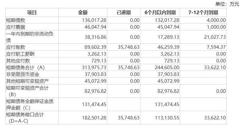 星空体育官网总负债超44亿元、对新能源子公司金融负债担保近11亿元 棒杰股份回复(图2)