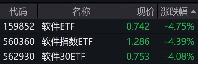 软件股午后持续调整，软件相关ETF跌逾4%