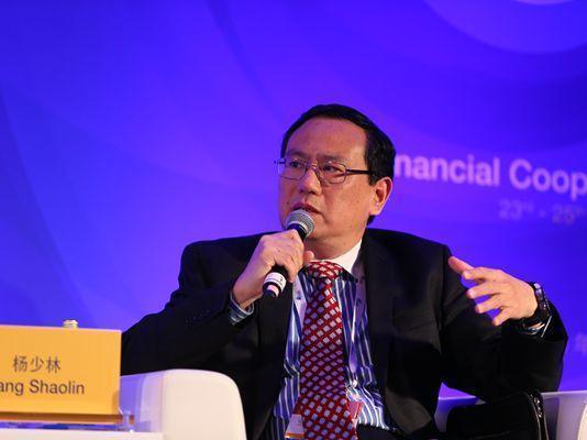杨少林将任世行首席行政官 还有哪些中国人在国际金融机构任要职?