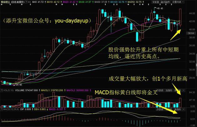 贛鋒鋰業日k線圖