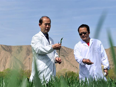 李凤民:荒山中寻水 生态里富民